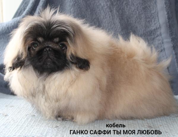 Прикрепленное изображение: т5.JPG